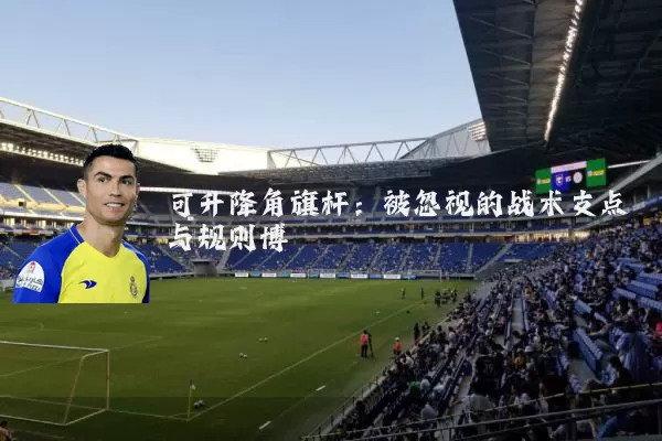 可升降角旗杆：被忽视的战术支点与规则博弈
